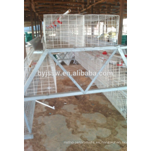 Jaula de capa de pollo de 3 niveles 120 aves Capacidad para aves de corral en Dubai
